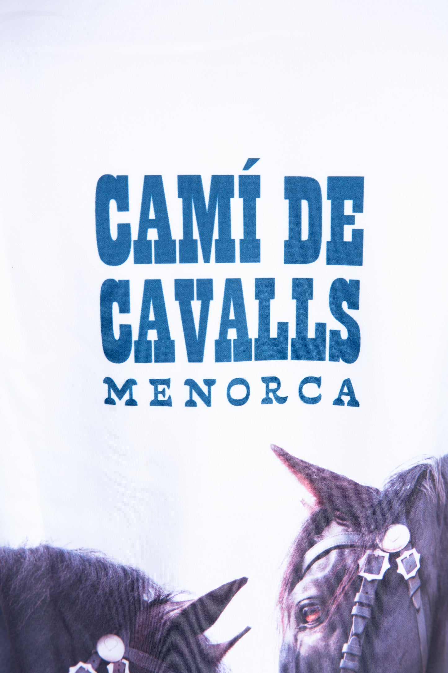 Hooded Sweatshirt - Camí de Cavalls