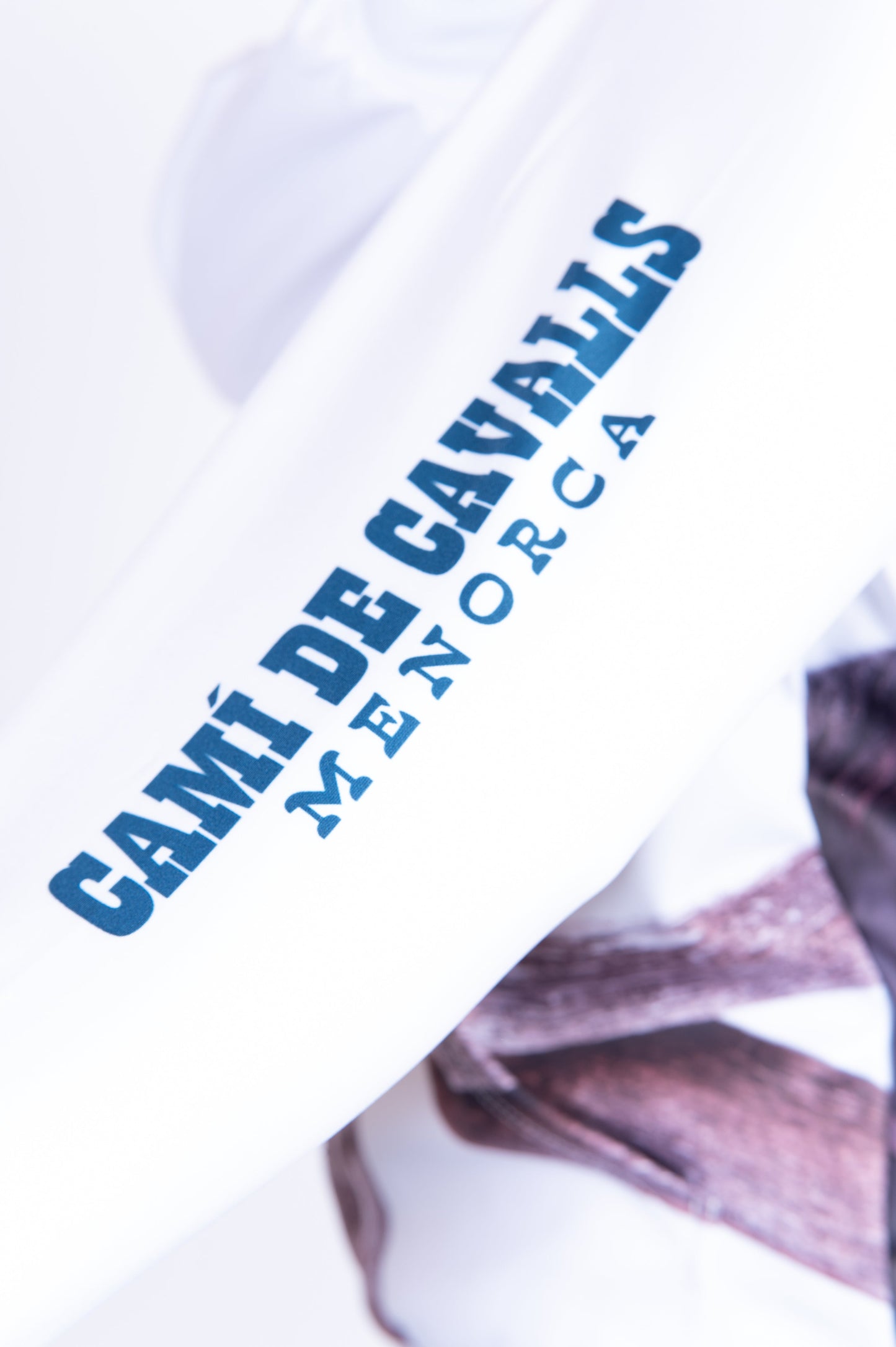 Hooded Sweatshirt - Camí de Cavalls