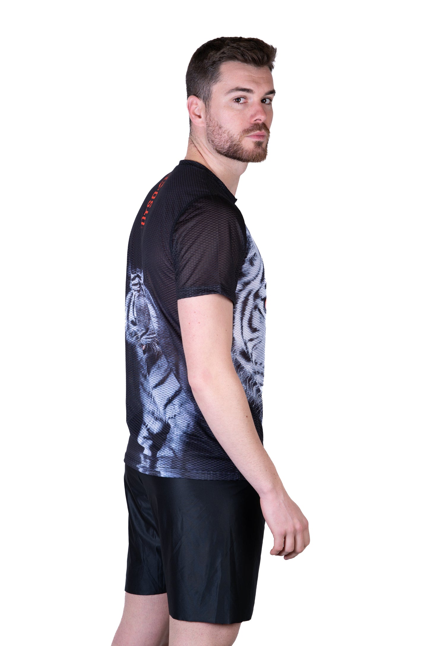 T-Shirt Homme manches courtes - Tiger