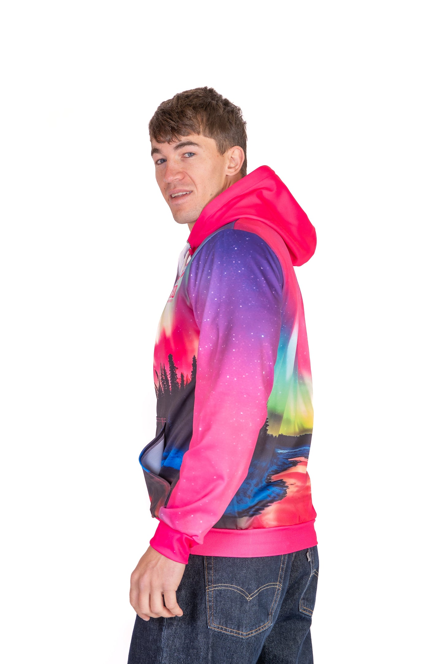 Hooded sweatshirt - Northern lights