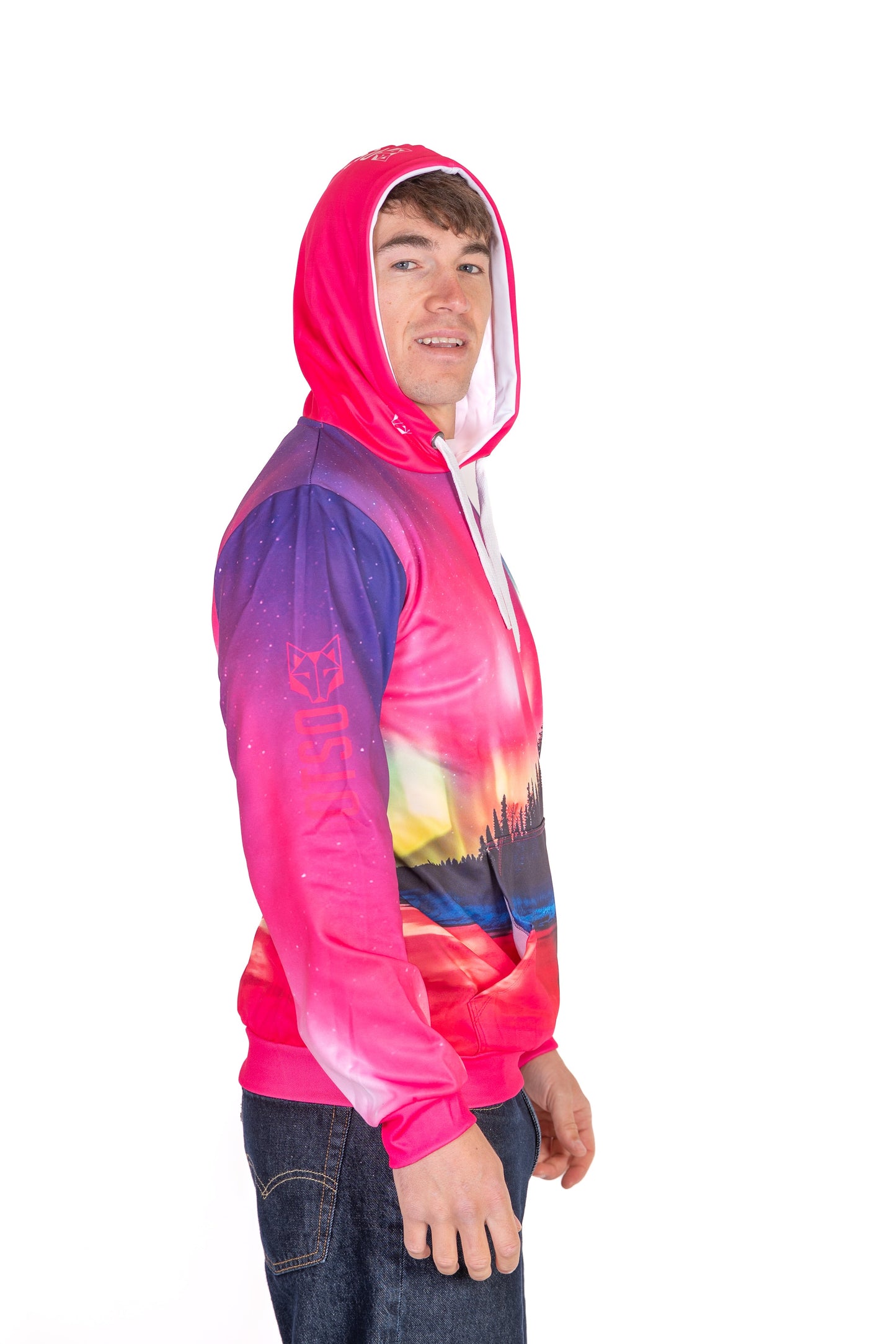 Hooded sweatshirt - Northern lights