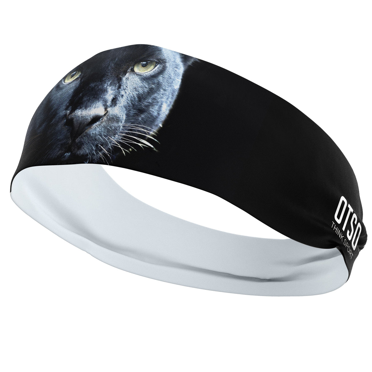 Fascia - Panther
