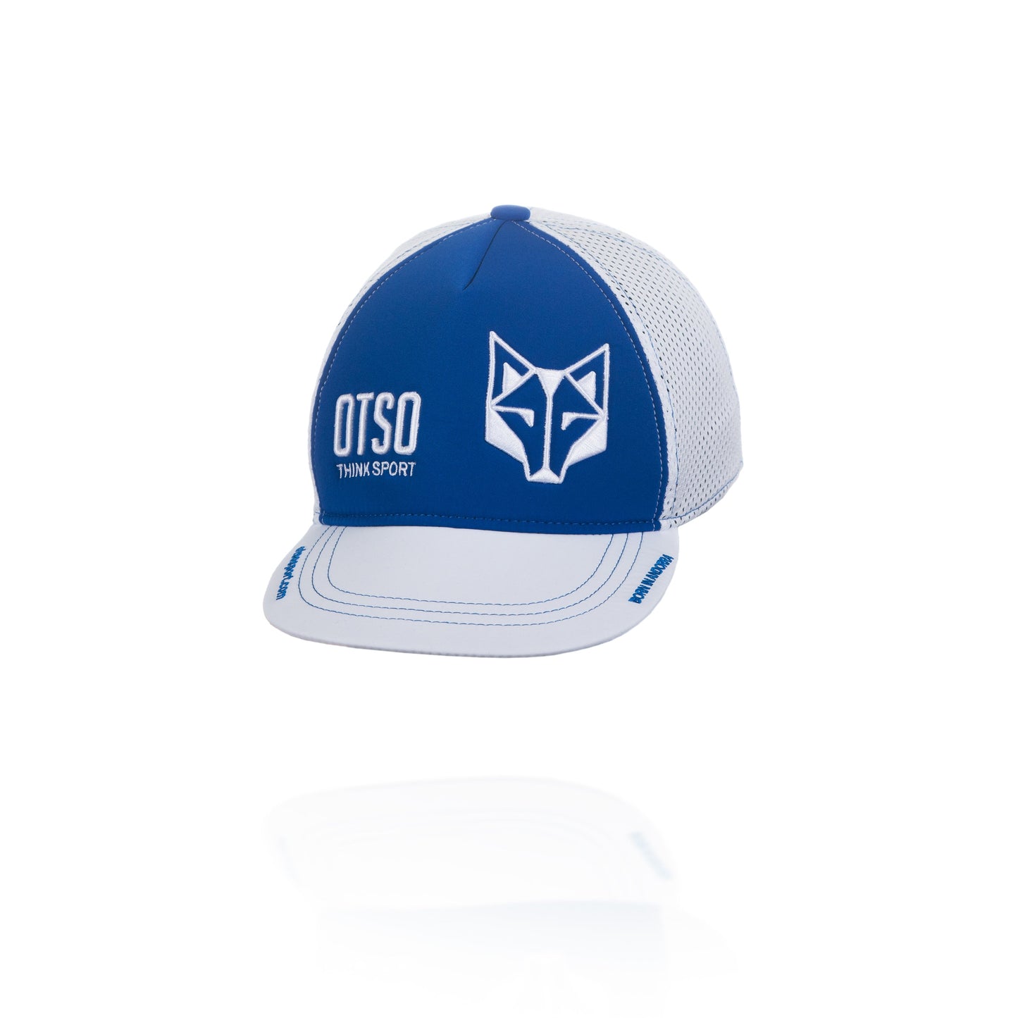 Casquette snapback - Electric Blue & White