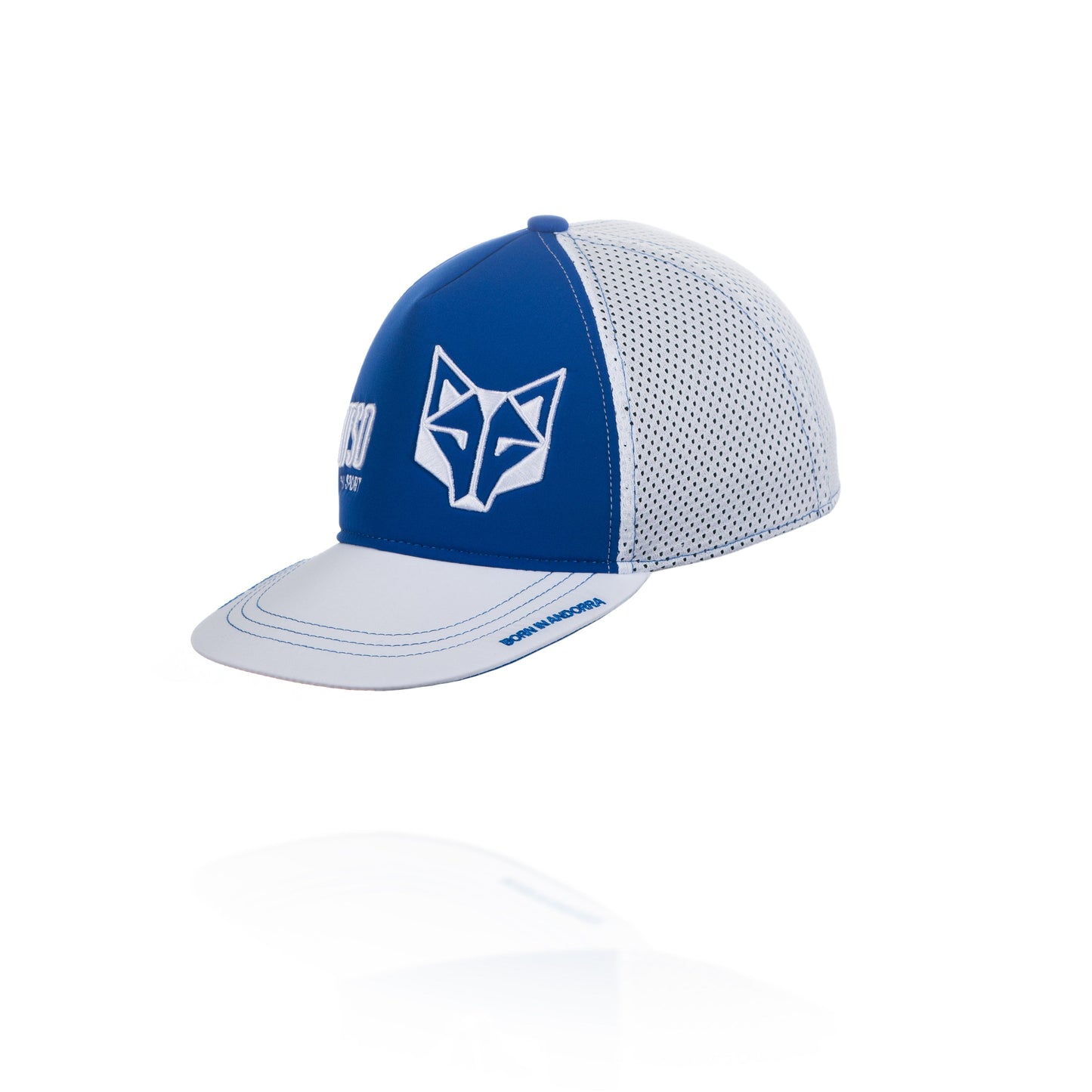 Gorra snapback - Electric Blue & White