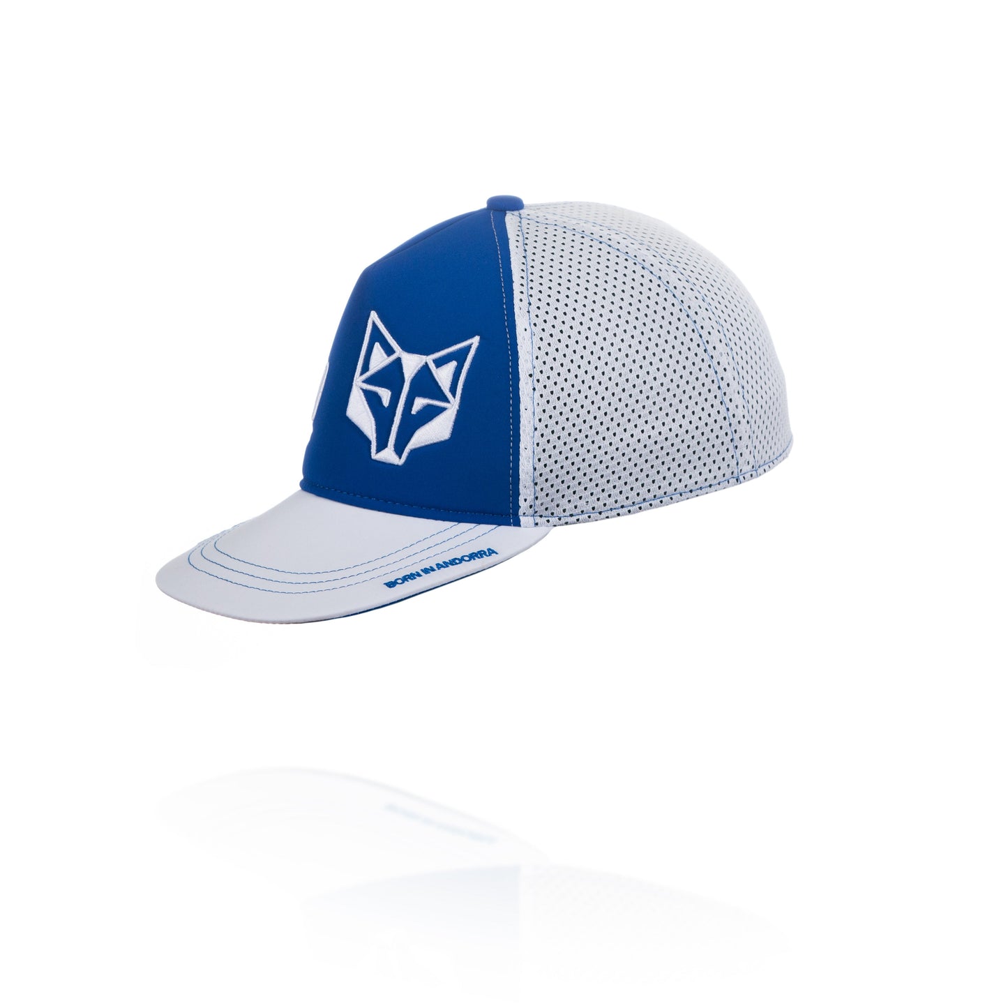 Gorra snapback - Electric Blue & White