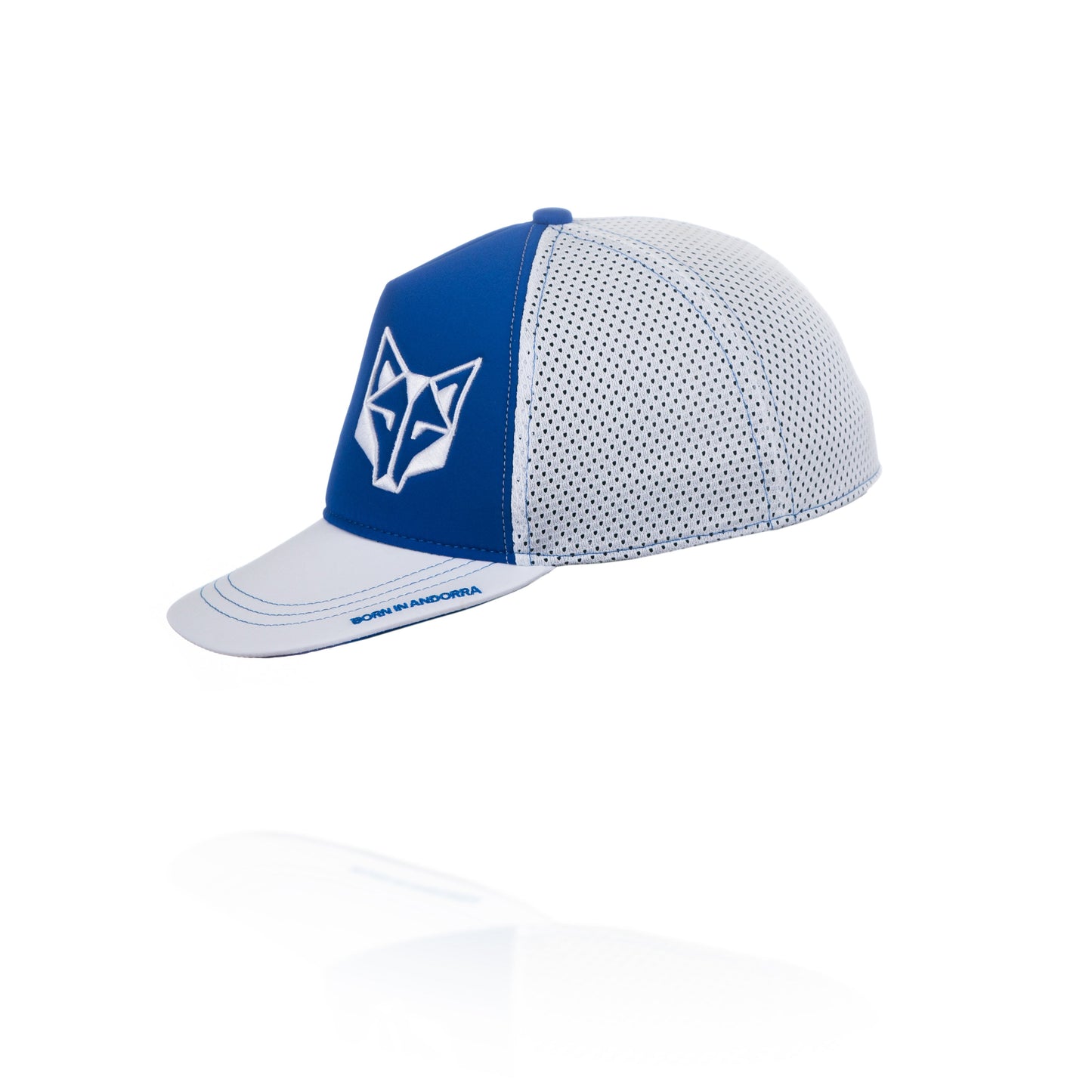 Casquette snapback - Electric Blue & White