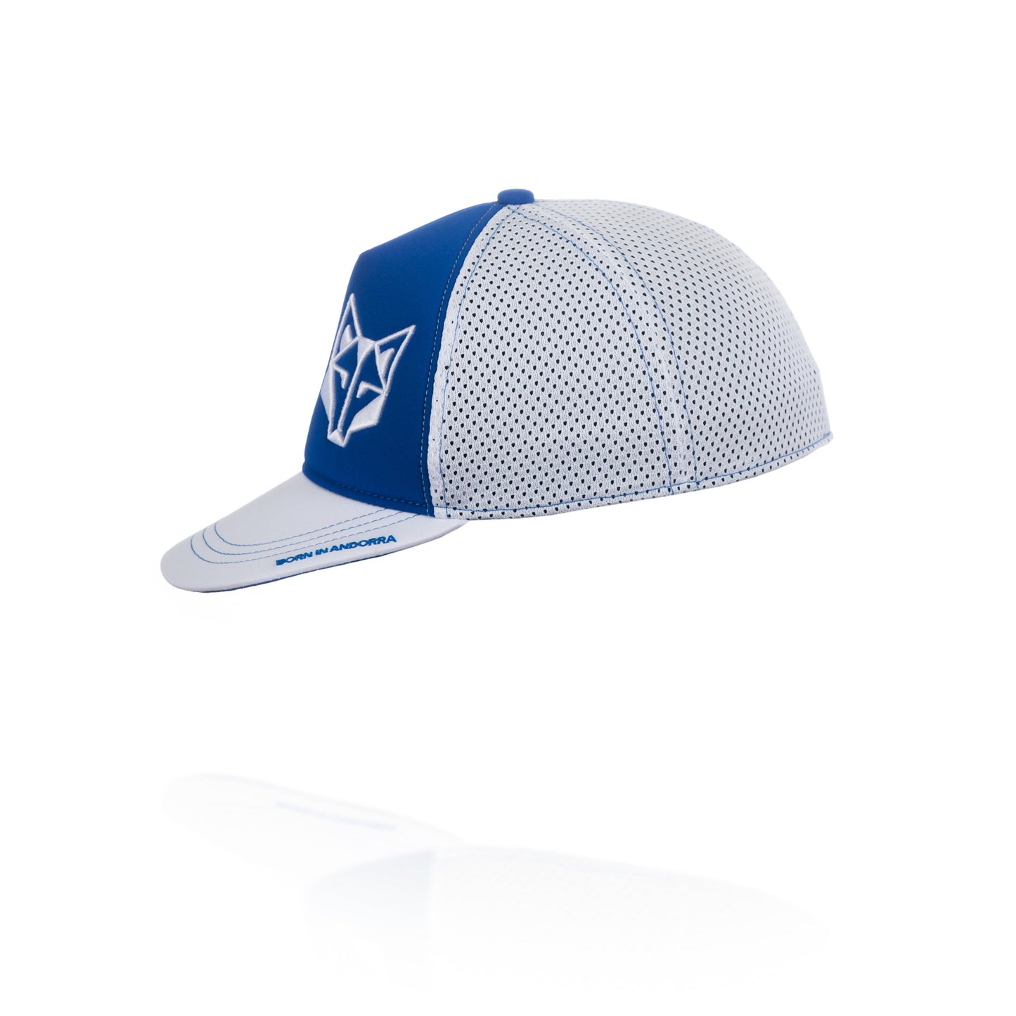 Gorra snapback - Electric Blue & White
