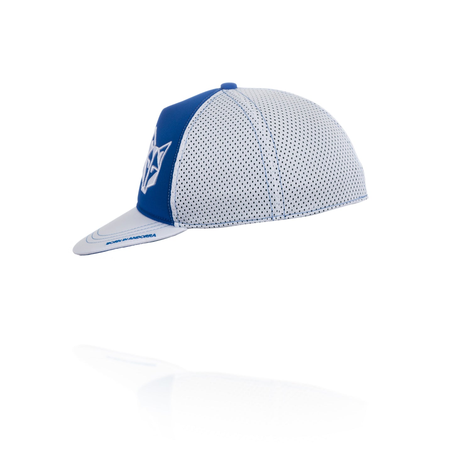 Gorra snapback - Electric Blue & White